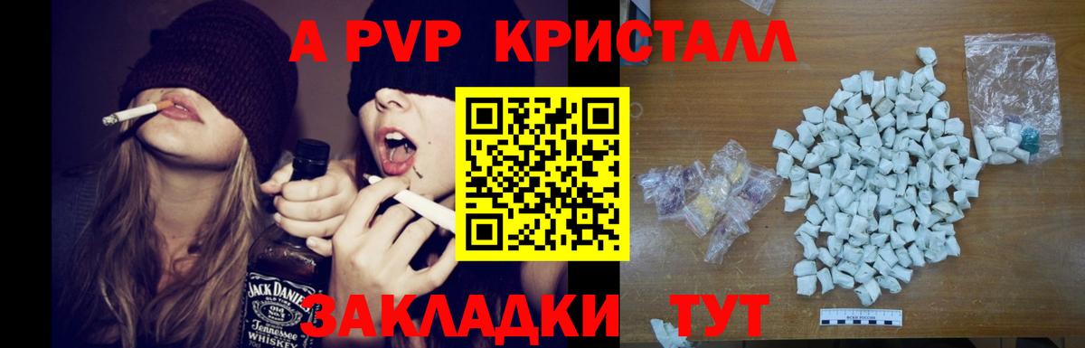 A PVP СК КРИС Алейск