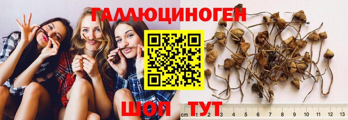 Галлюциногенные грибы MAGIC MUSHROOMS Алейск